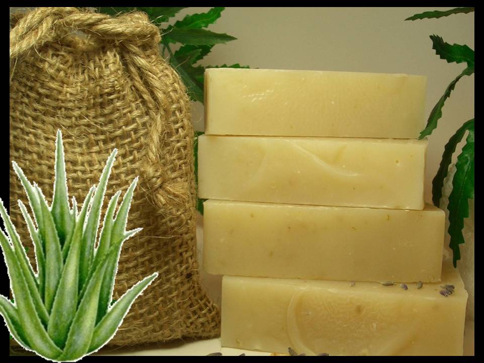 receta jabon casero con aloe vera